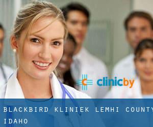 Blackbird kliniek (Lemhi County, Idaho)