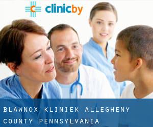 Blawnox kliniek (Allegheny County, Pennsylvania)