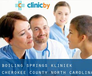 Boiling Springs kliniek (Cherokee County, North Carolina)