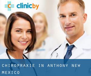 Chiropraxie in Anthony (New Mexico)