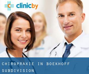 Chiropraxie in Boekhoff Subdivision