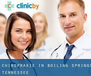 Chiropraxie in Boiling Springs (Tennessee)
