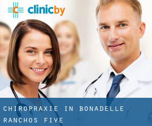 Chiropraxie in Bonadelle Ranchos Five