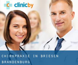 Chiropraxie in Briesen (Brandenburg)