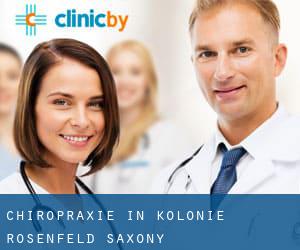 Chiropraxie in Kolonie Rosenfeld (Saxony)