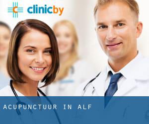 Acupunctuur in Alf