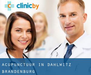 Acupunctuur in Dahlwitz (Brandenburg)