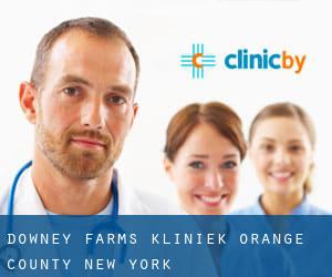 Downey Farms kliniek (Orange County, New York)