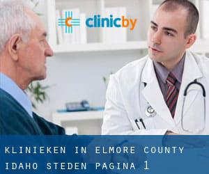 klinieken in Elmore County Idaho (Steden) - pagina 1