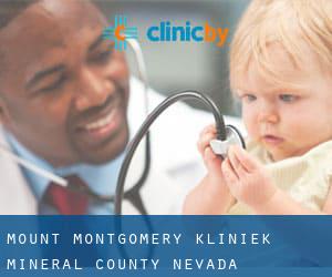 Mount Montgomery kliniek (Mineral County, Nevada)